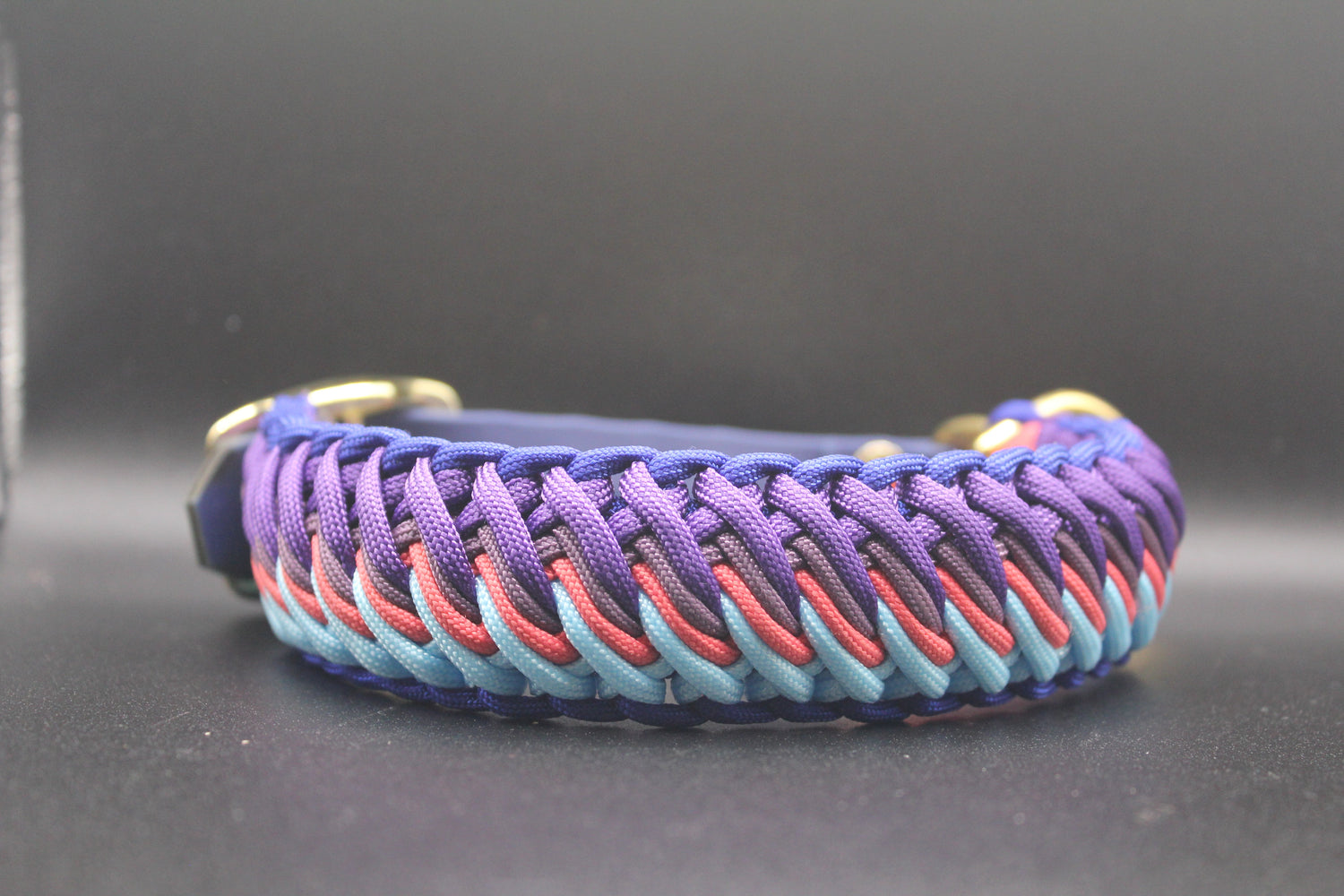 Colliers pour chiens